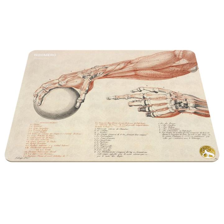 ماوس پد هومرو مدل A5572 طرح پزشکی آناتومی Hoomero Anatomy Medicine A5572 Mousepad